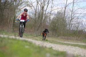 IMG_9094