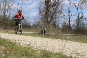 IMG_9102