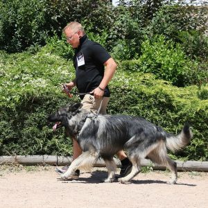 Maïki Comme Chiens et Loups