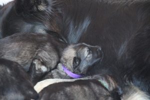 IMG_3196