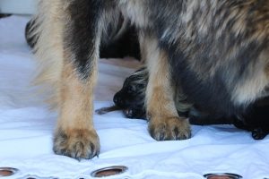 IMG_3202