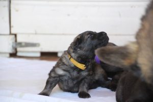 IMG_3203