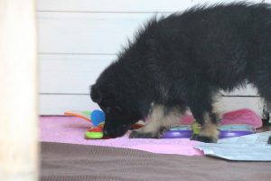 IMG_3254