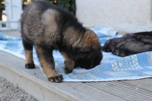IMG_3287