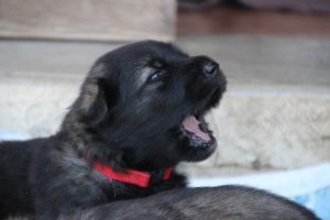 IMG_3302
