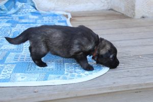 IMG_3320