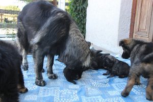 IMG_3372