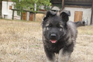 IMG_6046
