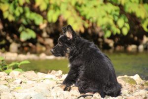 IMG_8561