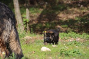 IMG_0920