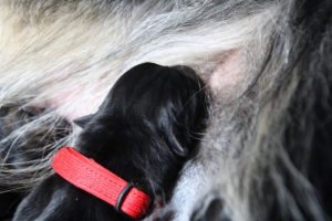 IMG_3317