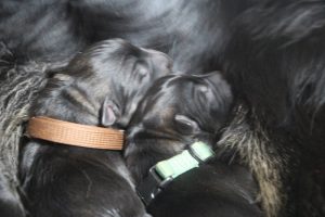 IMG_3340