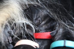 IMG_3344