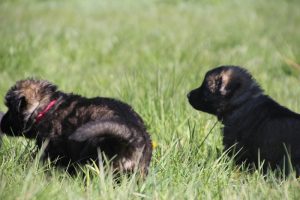 IMG_0841